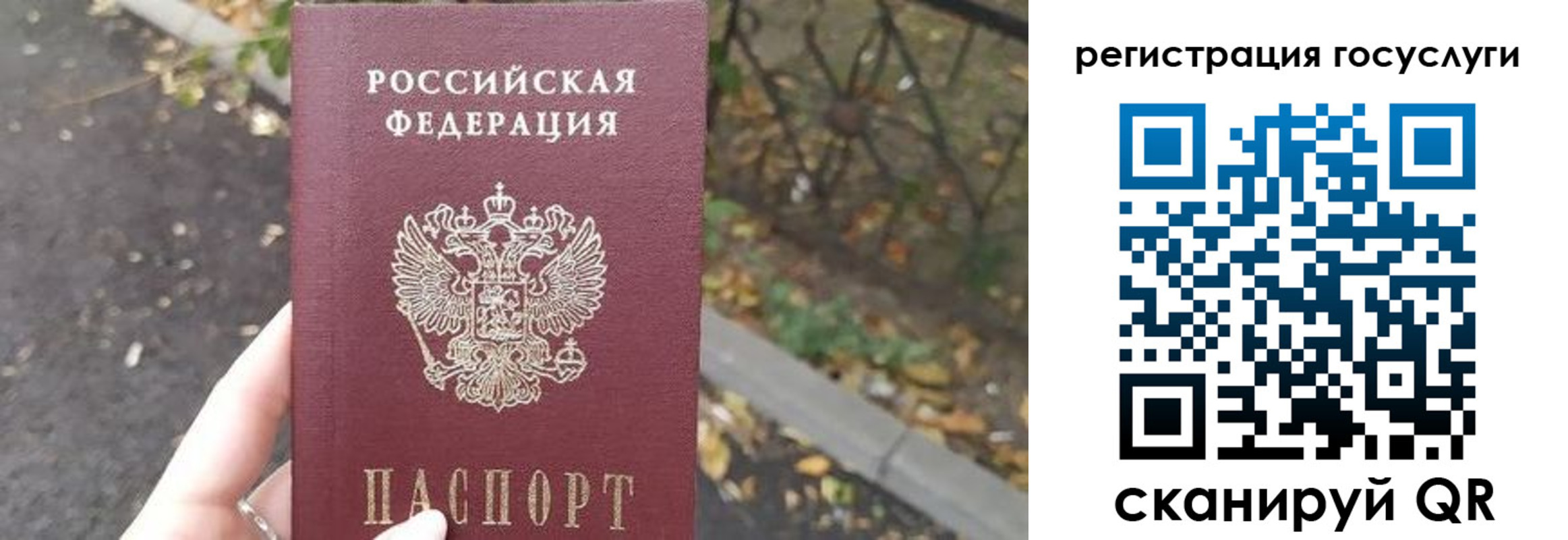 купить прописку в Полярных Зорях